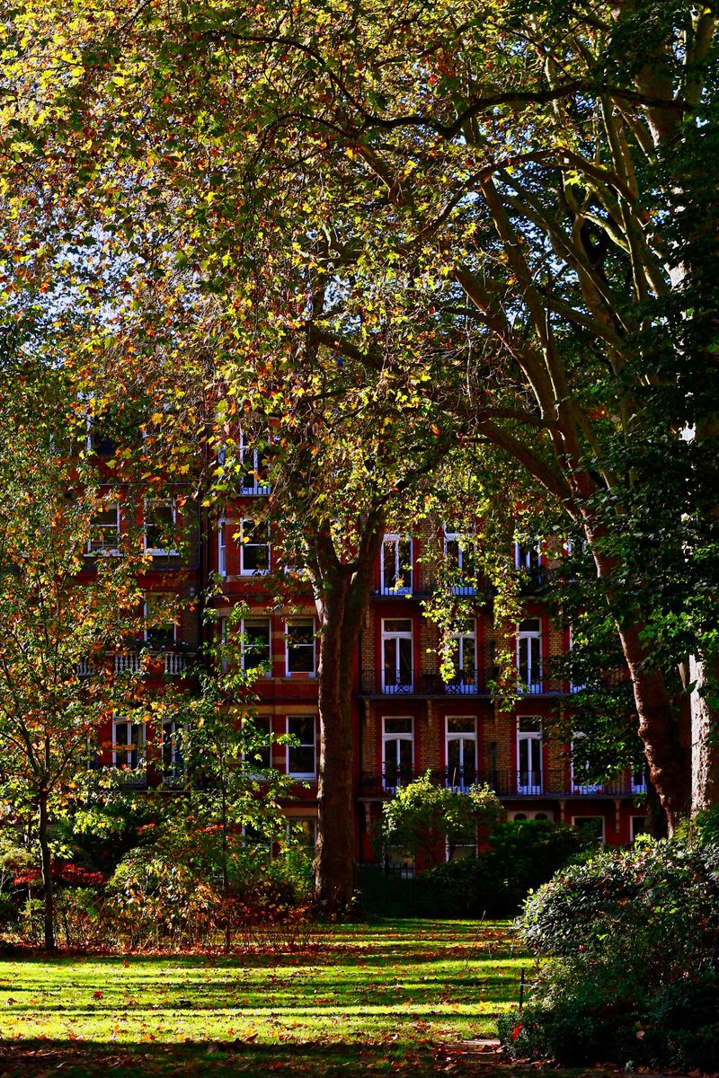 REMAXChelsea tweet picture