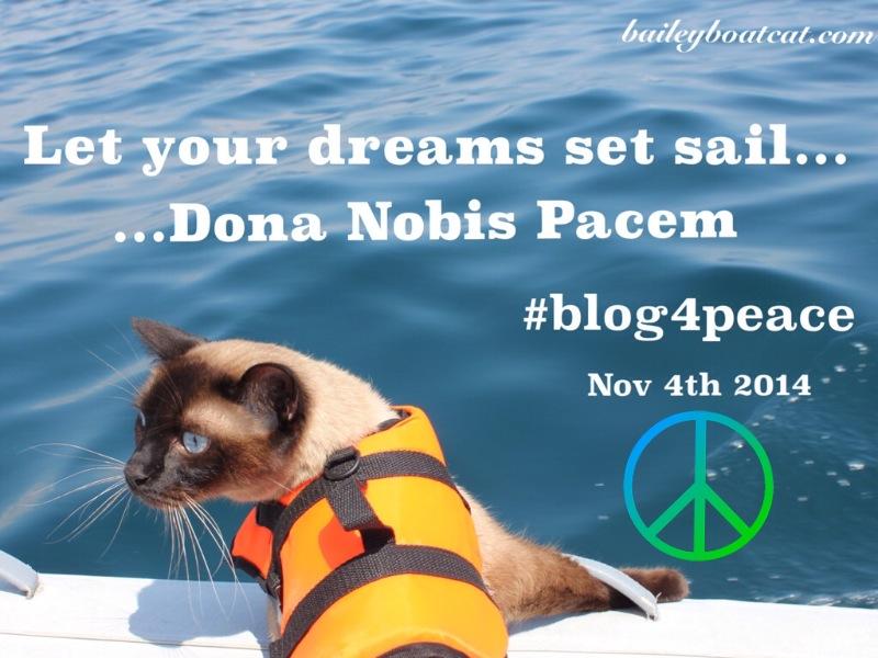 BaileyBoatCat's tweet image. I&apos;m purring for peace today #blog4peace #blogblast4peace