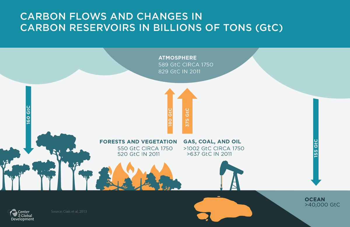 saradelfierro's tweet photo. What if we had safe CCS tech? Oh right, we do #whyforests @FrancesJSeymour blogs @CGDev: http://t.co/RvwW1E8eyW PIC: http://t.co/GMkUr36LAz