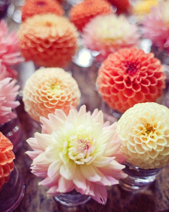 Flowerlink tweet media