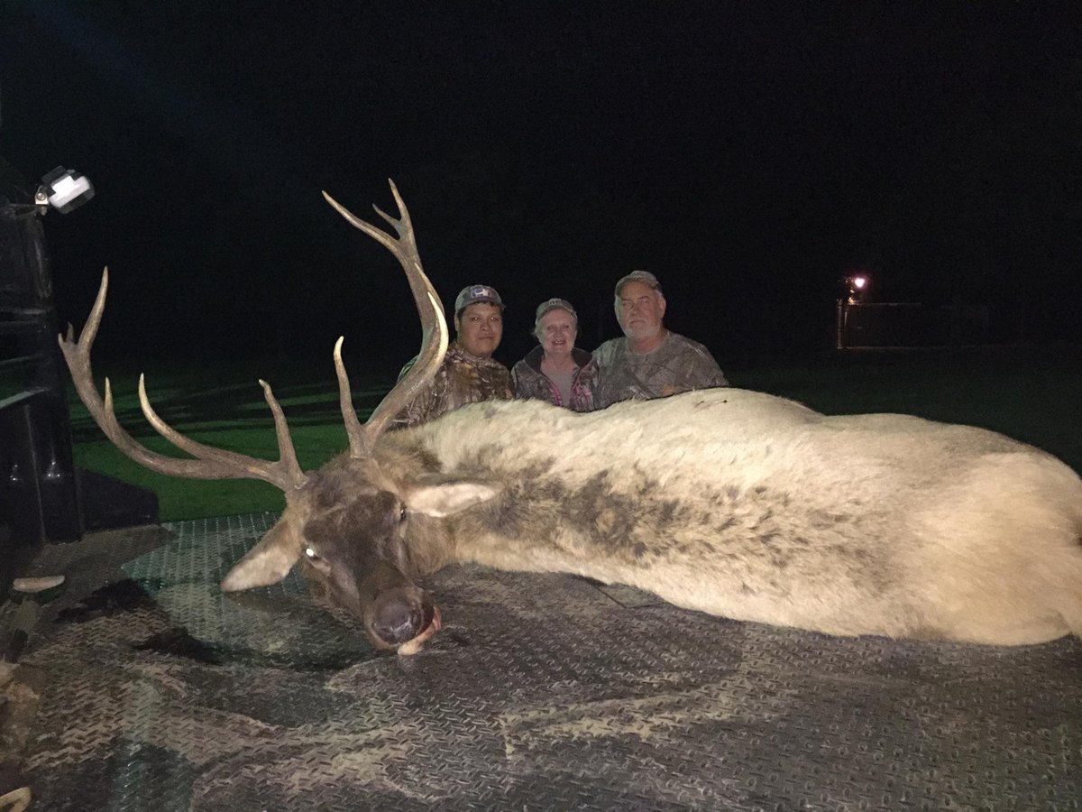 HRRHUNTING's tweet photo. With the #rut upon us we are switching our focus to #whitetail. Had to take one last bull before pausing #elk hunts. http://t.co/6zAQS49Pqp