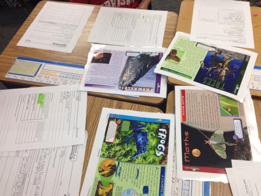 ktaylor3rd's tweet photo. What makes a living thing an adult? #A-ZScience #investigationpacks #NBScience #lifecycles #3rdgrade #NGSS http://t.co/gGq1eK1rW2