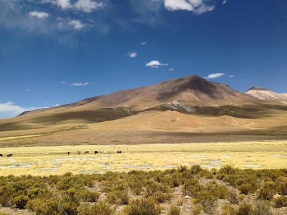 katetfletcher's tweet image. Why I've not tweeted for ages- new post on my trip to Andes exploring fashion &amp;amp; sustainability katefletcher.com/?p=1696