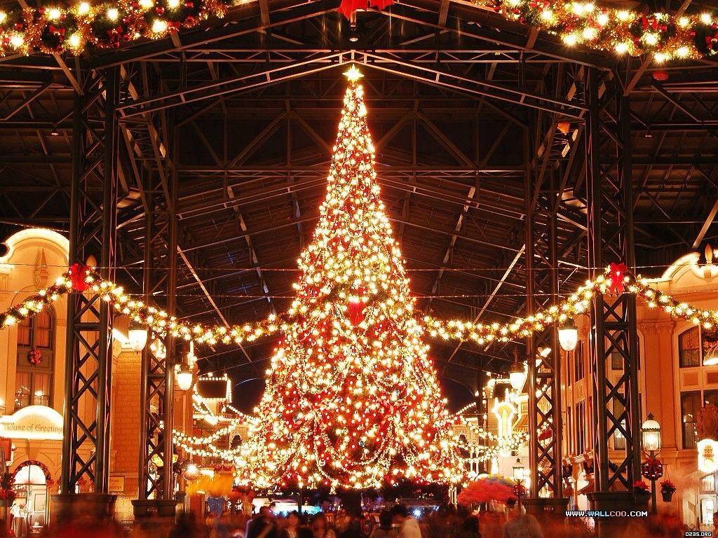 5 1  D A Y S  T I L

          🌟
          🎄  
        🎄🎄
      🎄🎄🎄
    🎄🎄🎄🎄
  🎄🎄🎄🎄🎄
      🎁🎁🎁

C H R I S T M A S !