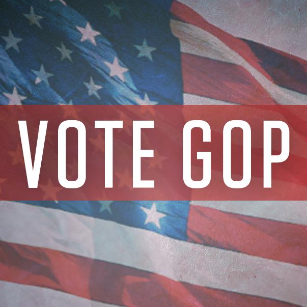 NRSC's tweet photo. Today’s the day! Head to the polls and vote for #GOP14! http://t.co/phy9RnuPwS http://t.co/XUM882zyLo