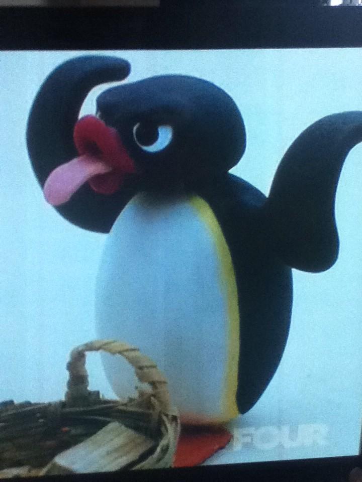 ““@5SOSTumblrx: Angry pingu reminds me of Calum IDK WHY BUT IT JUST DOES OK...