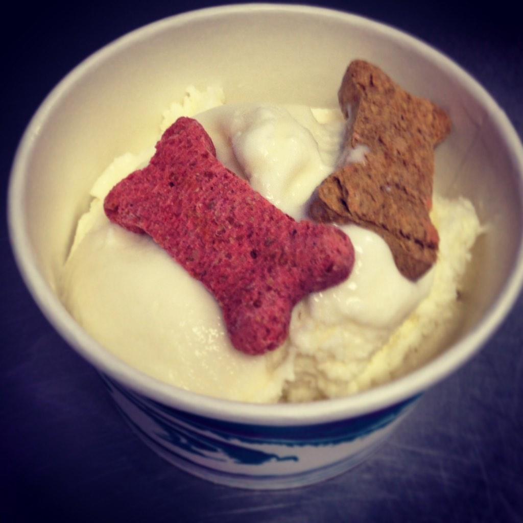 TreadwellsMA's tweet photo. Treat your pup to a delicious doggie dish🐶🍦🐶🍦 http://t.co/0aWiQ55kTb