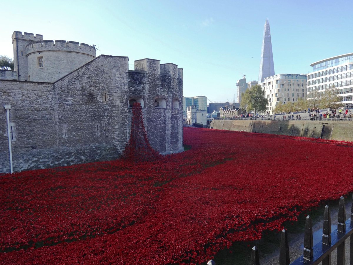 What an unforgettable and moving sight the poppies made this sunny morning
