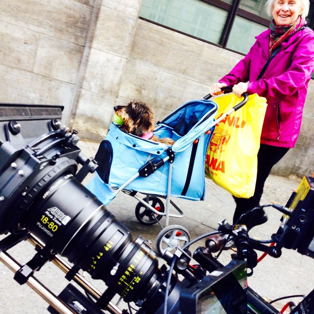 jCypher8821's tweet image. TOP DOG PASSING BY ***
#setpic #setfun #cinematography #filmmaking #dog #stroller #ball #fun