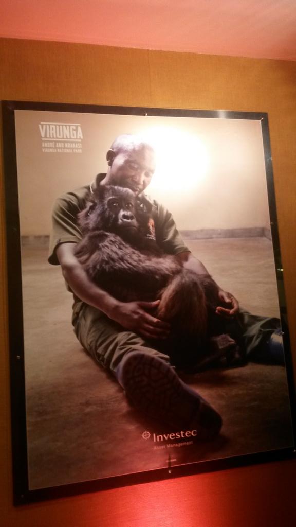 united4wildlife's tweet photo. If you have @NetflixUK then watch the amazing @virungamovie when released Friday 7th #teamvirunga #WhoseSideAreYouOn http://t.co/fsEZf08NIU