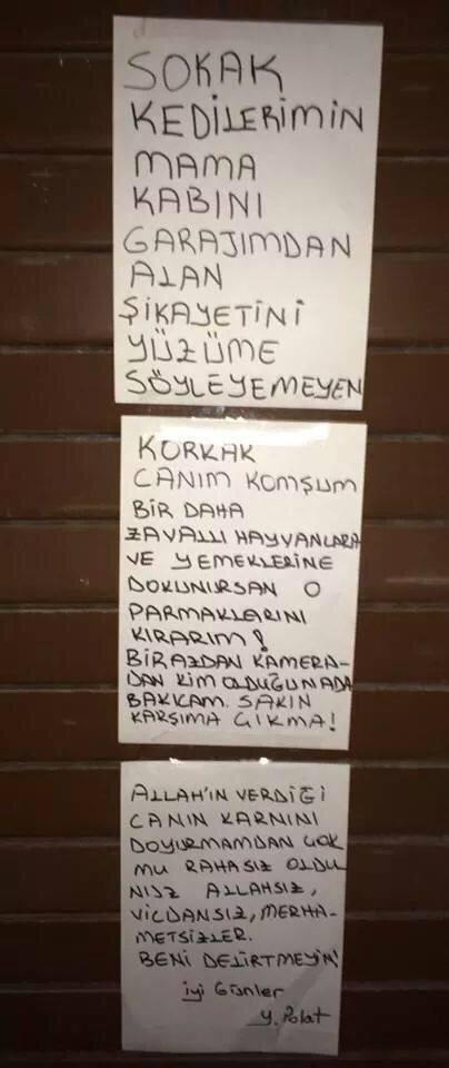 AylinAsLIM's tweet photo. İyi günler “@barisakpolat: “@tanricc: İnsanlık ölmemiş. http://t.co/vBVwibRHuR”