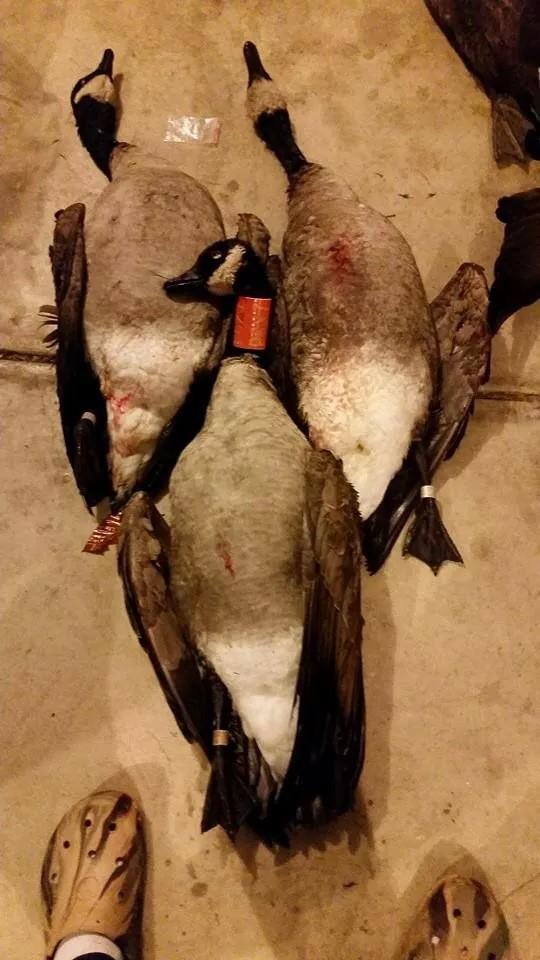 FallinFowl's tweet image. Team member Brandon riffle getting it done !