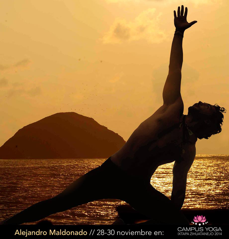 <a href="/ALEJANDROMALDO/">Alejandro Maldonado</a> en <a href="/campusyoga/">Campus Yoga</a> este 28, 29 y 30 de noviembre en #IxtapaZihuatanejo ¡no te quedes fuera!