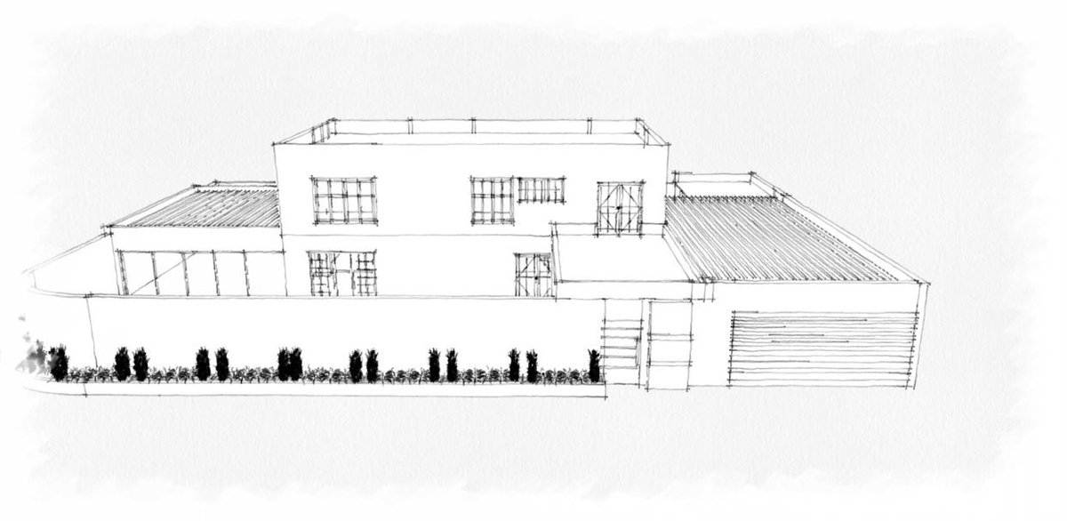 HEMIGRAPHIS (@hemigraphis_arq) on Twitter photo 