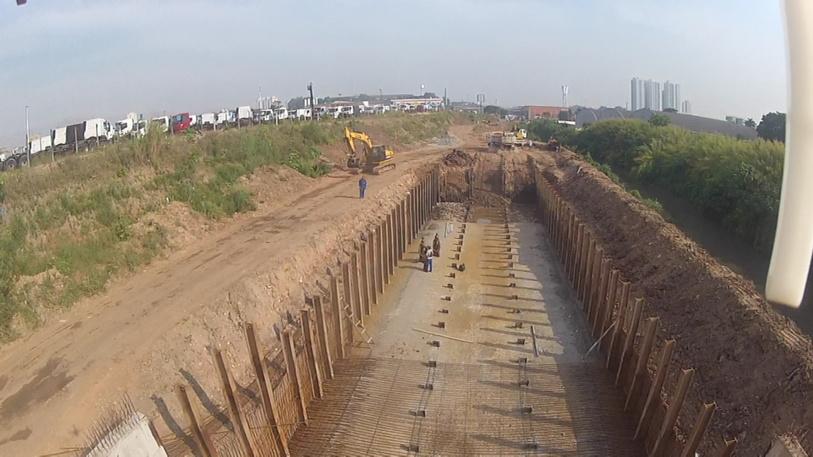 HEMIGRAPHIS (@hemigraphis_arq) on Twitter photo 