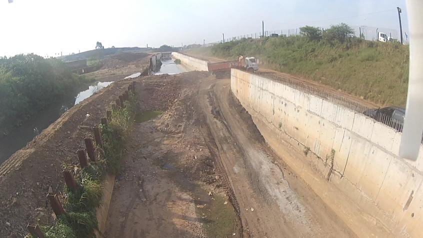 HEMIGRAPHIS (@hemigraphis_arq) on Twitter photo 