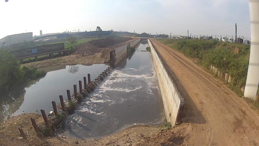 HEMIGRAPHIS (@hemigraphis_arq) on Twitter photo 