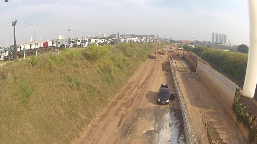 HEMIGRAPHIS (@hemigraphis_arq) on Twitter photo 