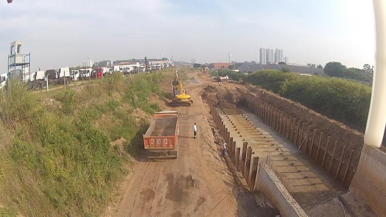 HEMIGRAPHIS (@hemigraphis_arq) on Twitter photo 