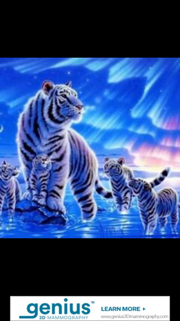 pixie_dust211 tweet picture