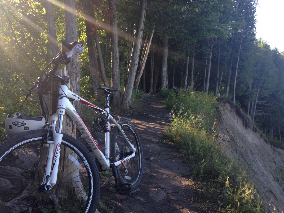 My bike was stolen from the Pickering Go station. I locked it up at 9:30am and got back at 7pm. This is my bike.