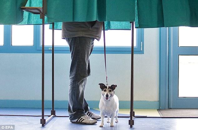 Frazeys's tweet photo. Don't forget to "Bark the Vote" today! #BarktheVote #GoVote2014 #RockTheVote http://t.co/8Ee9NLFAaA