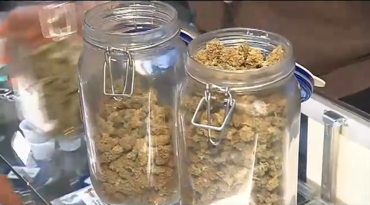 wsvn's tweet photo. 8:46 pm update: Medical marijuana 

Yes 57% 
No 43% 

with 69% of the precincts reporting http://t.co/twPr2K7ZYm