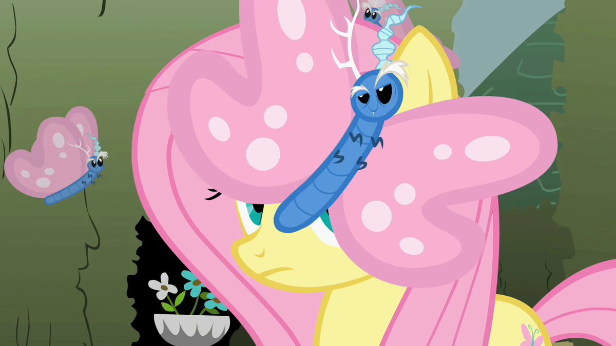 Ooh, i saw a pretty little Butterfly! See! How cute!