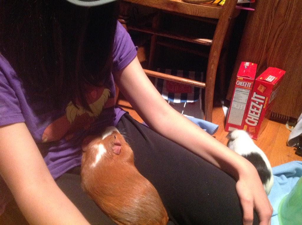 CharlieDear2's tweet image. I'm so tired!