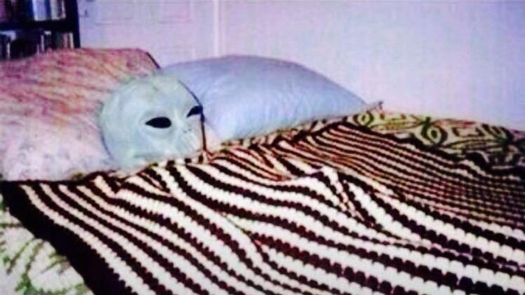 SabrinaGregoire's tweet photo. “@Stoner_Xpress: Laying in bed high as fuck http://t.co/T89MKuO8Gr” @CassandraOByrne
