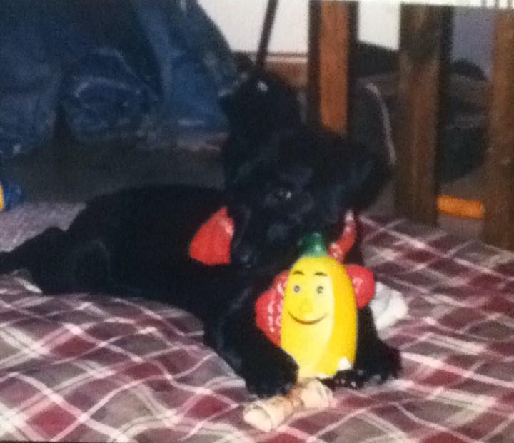 TwinkyAlex's tweet photo. R.I.P Buddy http://t.co/aqdYPsBFB0
