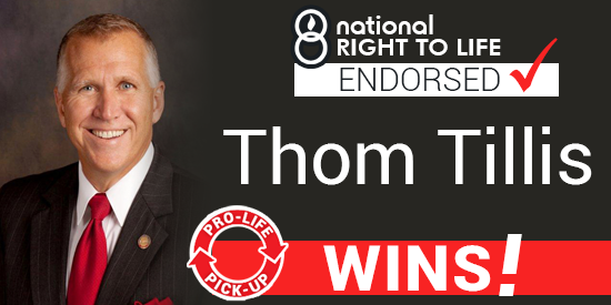 Thom Tillis beats corrupt Kay Hagan in North Carolina R+7