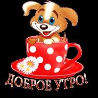 infocmc's tweet image. Всем доброго утра, коллеги!! #СПб #музеи #Коллеги #5ноября