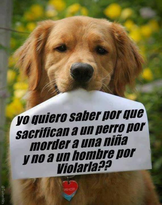 TuiterHits's tweet photo. ¿Por qué? http://t.co/EH9VO4dc9u