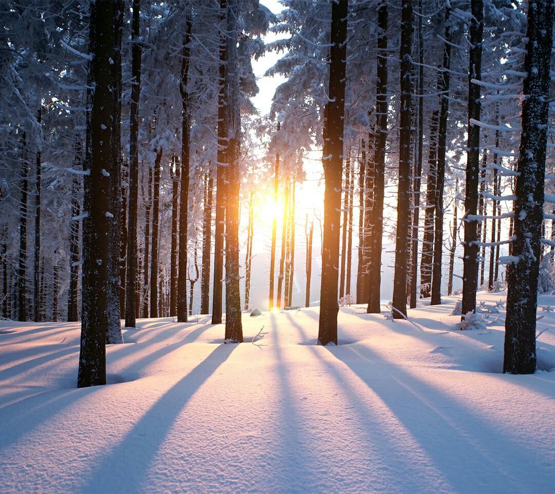 miplus57's tweet image. 