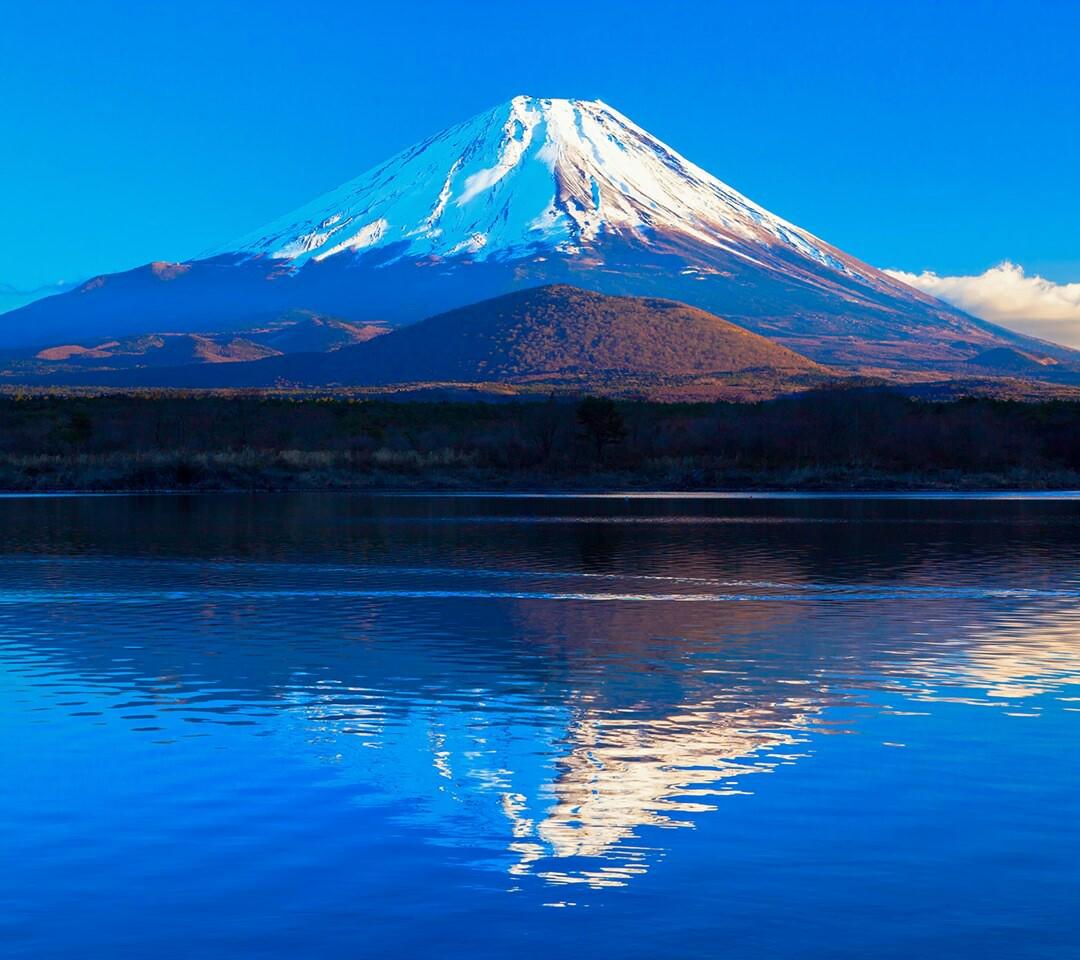 miplus57's tweet image. 