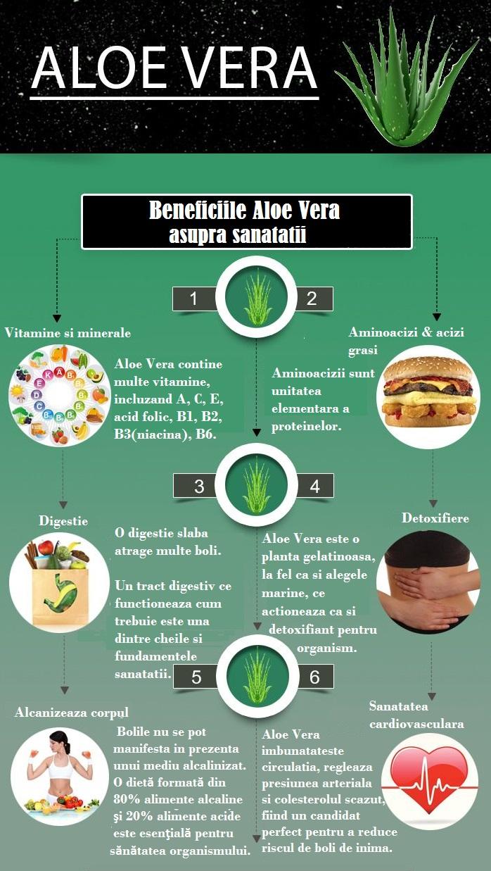 crédito Amasar Amperio Herbagetica on Twitter: "Beneficiile fructului de Aloe Vera asupra  organismului: #aloevera #benefits #health #sanatate #beneficii  http://t.co/dybPNYvUwg" / Twitter