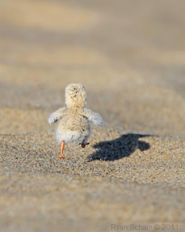 _Paisajes_'s tweet image. Quema!! Quema!! Quemaaa la arenaa!!!