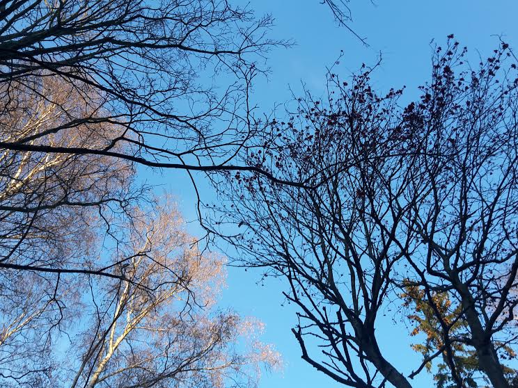 finnland's tweet image. Schnee im Norden u sonnige 6 Grad in #Helsinki #finnland #spaetherbst