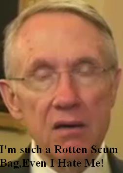 No sane country would permit birthright citizenship says Harry Reid