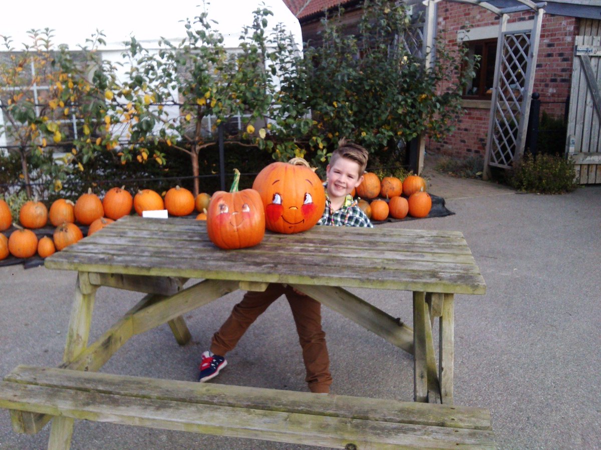 cedarbarn's tweet image. Thanks to lovely Nathan for heading #spookley week