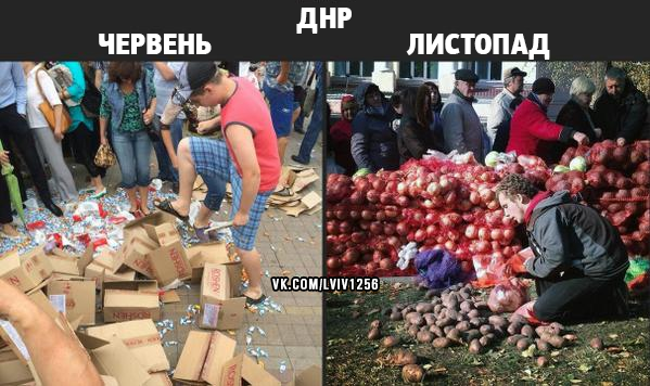 Украинские пограничники задержали сообщника террориста Безлера - Цензор.НЕТ 6697