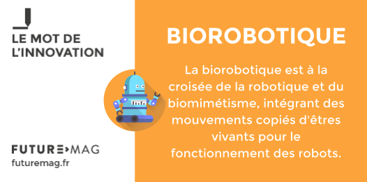 FUTUREMAGfr's tweet image. Au programme de la prochaine émission : les #Biorobots ! Mais au fait, qu&apos;est ce que c&apos;est ?