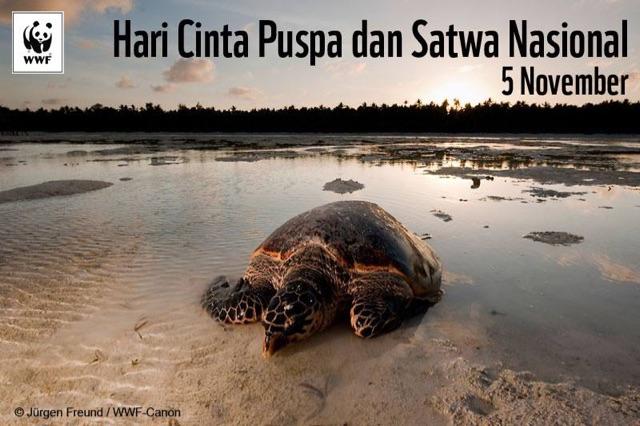 Yayasan WWF Indonesia tweet media
