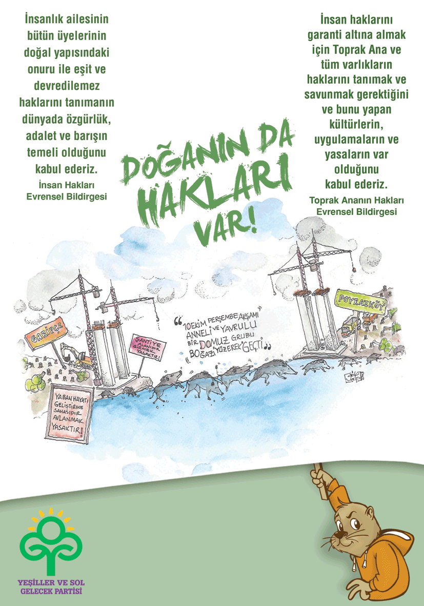 Ağaçlar kesilince evsiz kalıp kendini boğaza atan domuzları hatırladınız mı?