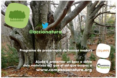 SelvansONG's tweet photo. 'Persones que cuiden dels #boscosmadurs, boscos que cuiden de les persones' #Selvans #CompensaNatura #elsmatinsTV3 http://t.co/kOghLHYfd5