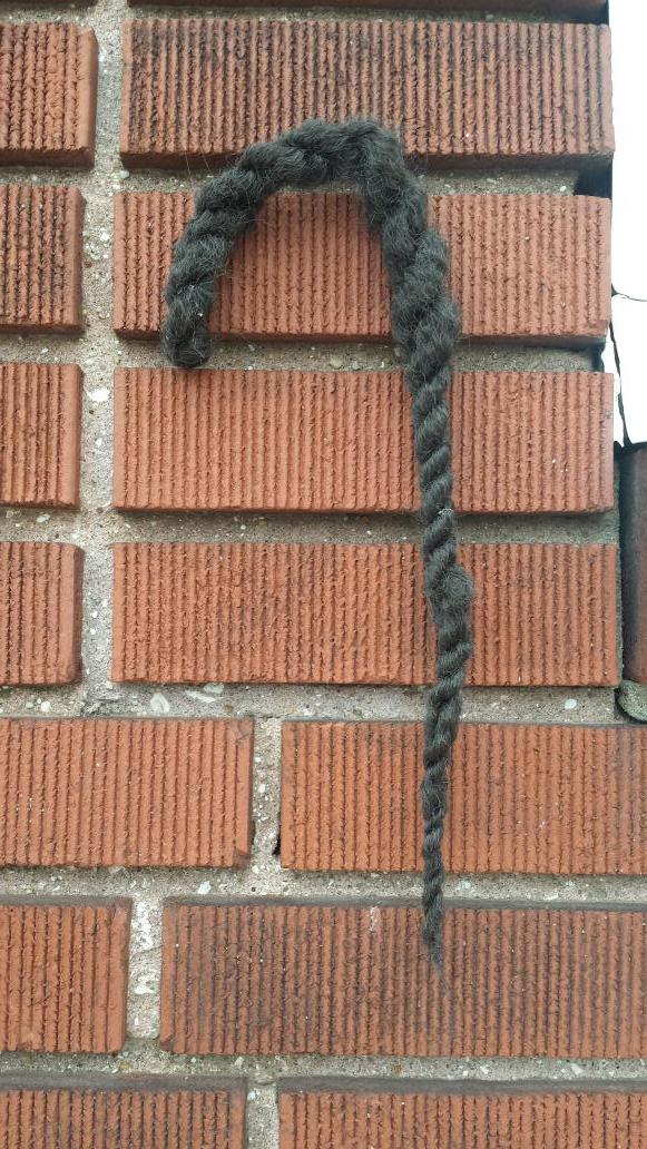 HezPhilly's tweet photo. A random braid hanging off the wall. #OnlyInPhilly http://t.co/EYMhHNRj5y