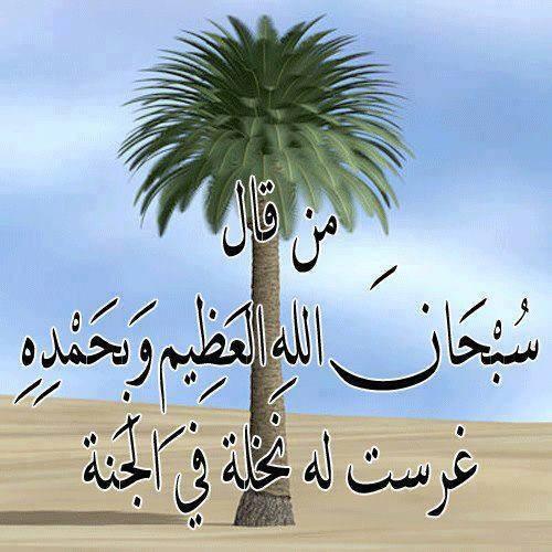 KSkhafe's tweet photo. http://t.co/7M1BXQgvtG