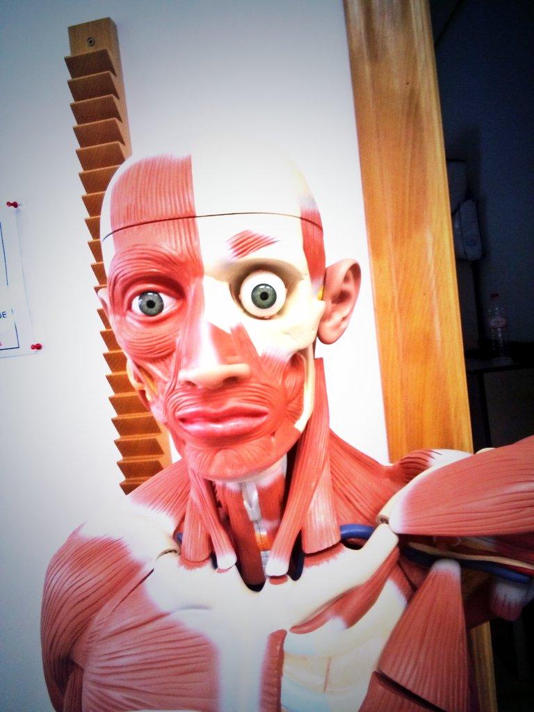 AngieLSR's tweet photo. El mejor selfie!! #morritos @brf94 http://t.co/N9BWVxC2Og
