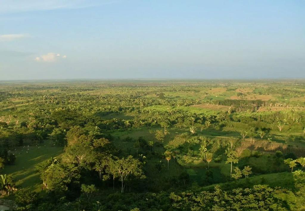 PetenerosGT's tweet photo. El edén, Sayaxché, Petén. #Peteneros #Peten #Guatemala. http://t.co/IsPYayBpVP